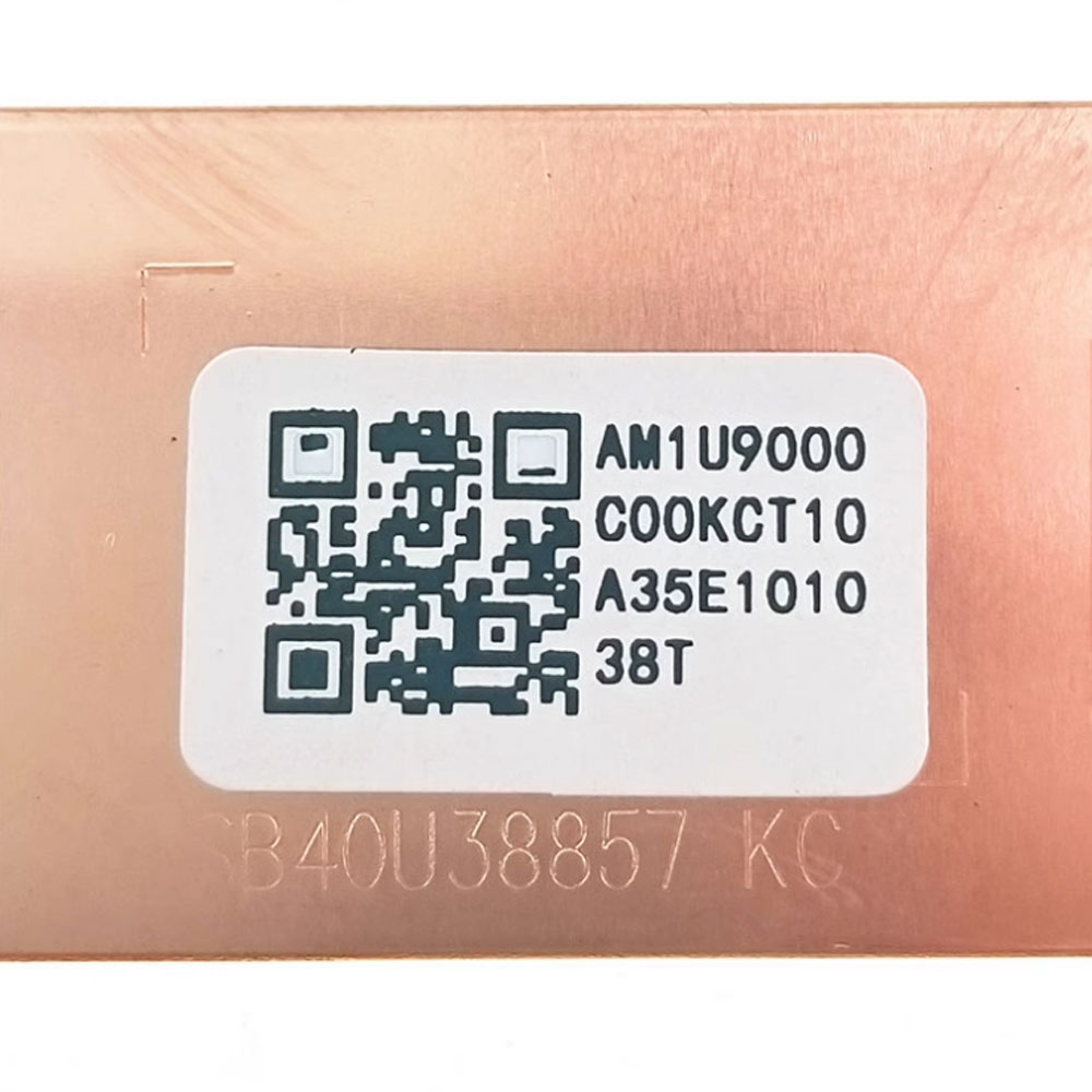 Per Lenovo ThinkPad X1 Carbon  - M.2 Ssd Heatsink recensione e prezzo
